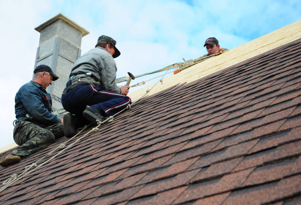 Best Emergency Roof Repair  in George Mason, VA